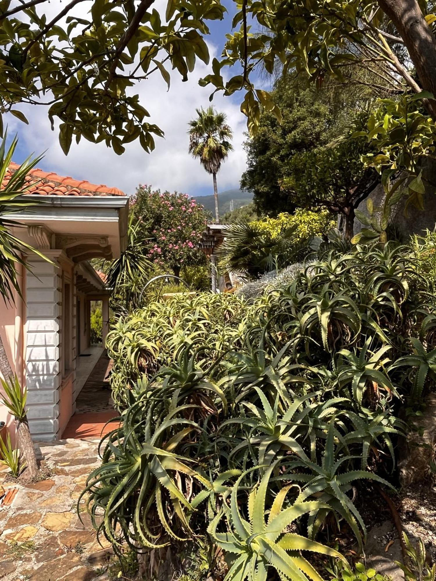 Villa D'Artisti Sanremo Exterior photo